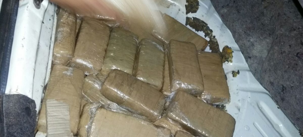 A través del 0800, la Municipalidad recibe una denuncia anónima diaria sobre posibles delitos vinculados al narcotráfico‏