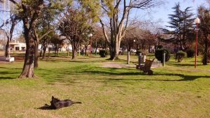 Espacio verde frente a la Delegación de Matheu