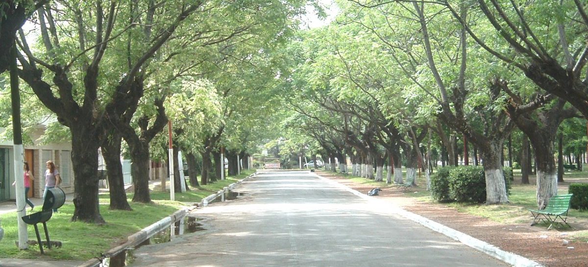 “Matheu querido: felices 119 años, por siempre en nuestros corazones”