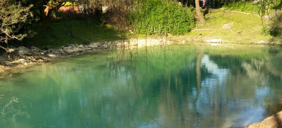 Limpian y recuperan la tradicional laguna del predio de la Fiesta Nacional de la Flor