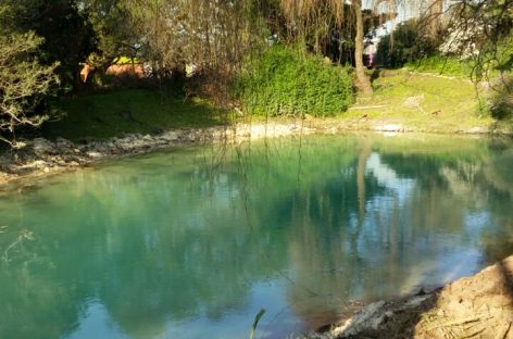 Limpian y recuperan la tradicional laguna del predio de la Fiesta Nacional de la Flor