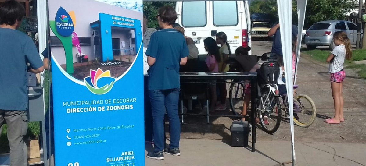 Más de 200 mascotas fueron vacunadas en el marco de la campaña contra la rabia que lleva adelante la Municipalidad de Escobar