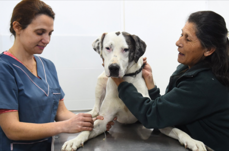 La Municipalidad de Escobar suma iniciativas para la tenencia responsable de mascotas