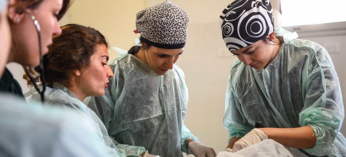 El Hospital de Zoonosis municipal recibe a una nueva promoción de practicantes de la Facultad de Veterinaria de la UBA