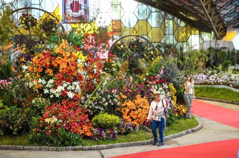 Se viene el último fin de semana de la Fiesta Nacional de la Flor, que ya convocó a más de 50 mil personas