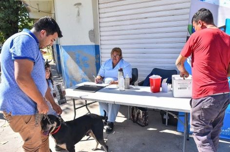 Los habituales operativos sanitarios de la Municipalidad de Escobar se realizarán en Maquinista Savio