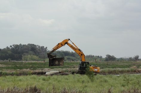 Asociaciones ambientalistas advierten acerca de la destrucción de humedales en Escobar