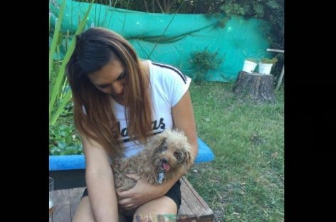 A través del portal web del Hospital de Zoonosis de Escobar, 20 mascotas consiguieron un nuevo hogar