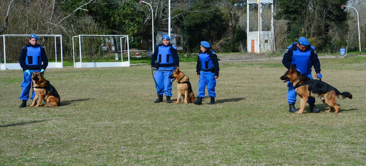 El Ministerio de Seguridad de la Provincia de Buenos Aires reconoció a la División Canina de Escobar por el esclarecimiento de un femicidio