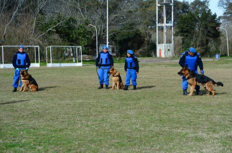 El Ministerio de Seguridad de la Provincia de Buenos Aires reconoció a la División Canina de Escobar por el esclarecimiento de un femicidio