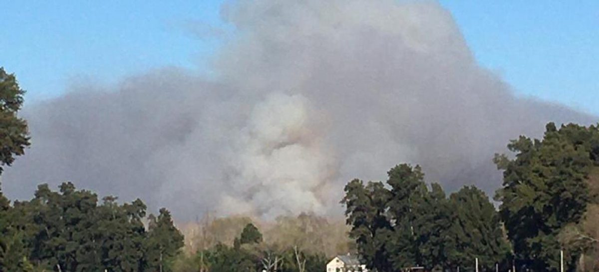 Incendio en el Delta: la municipalidad informó que las zonas pobladas no están en riesgo