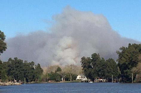 Incendio en el Delta: la municipalidad informó que las zonas pobladas no están en riesgo