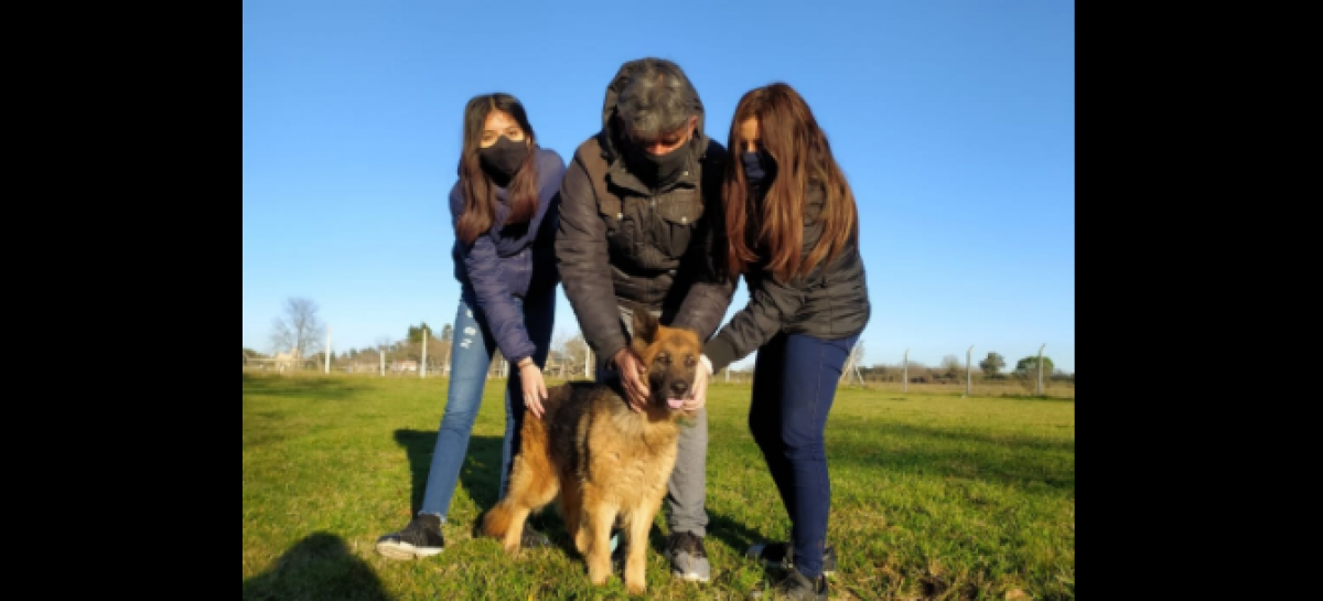 La campaña municipal #AdoptáNoCompres llegó a las 100 adopciones de mascotas