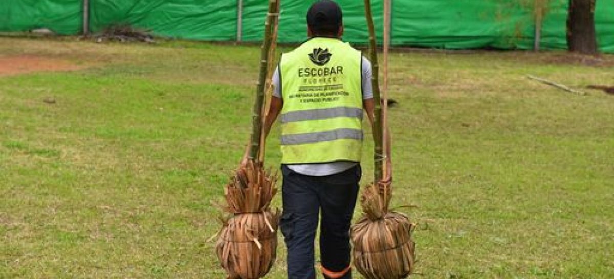 En Garín, la Municipalidad continúa el Plan de Arbolado Urbano de Escobar con la plantación de 160 árboles