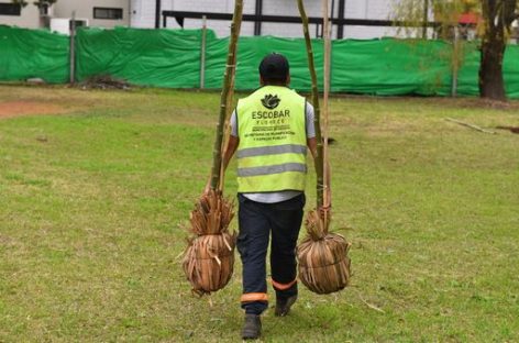En Garín, la Municipalidad continúa el Plan de Arbolado Urbano de Escobar con la plantación de 160 árboles