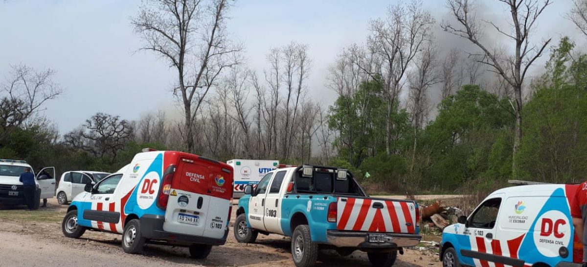 El municipio afirma que el incendio en el Paraná de las Palmas fue extinguido y presentó una denuncia para que se investigue el origen del siniestro