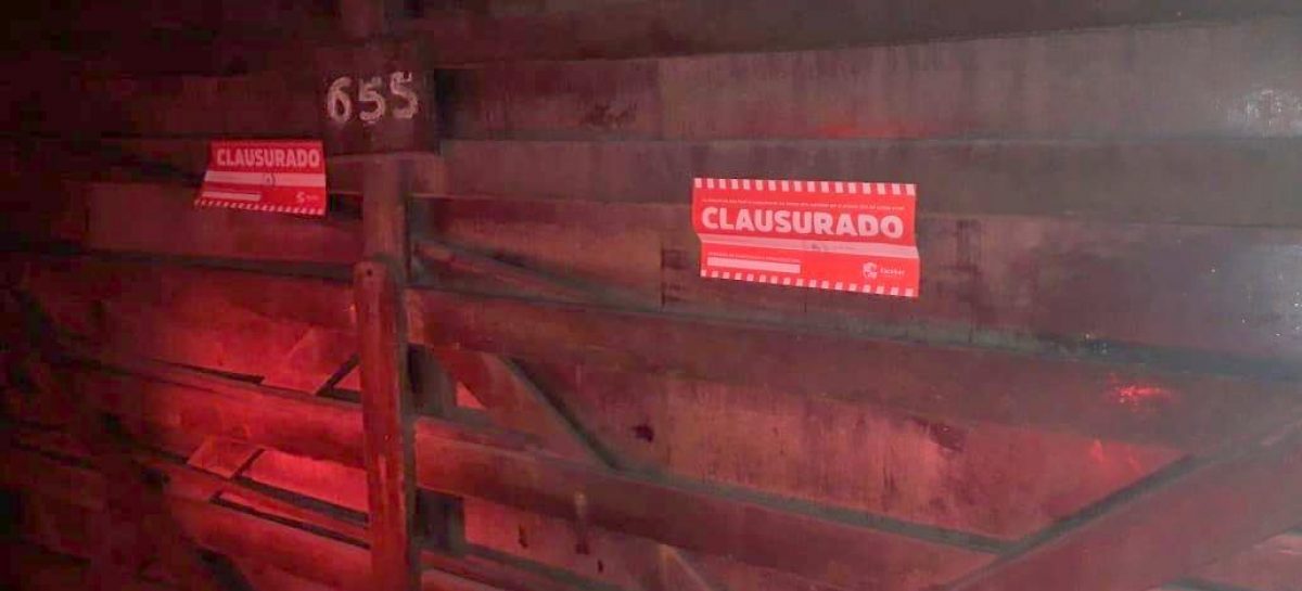 En Loma Verde, la Municipalidad de Escobar clausuró una casaquinta donde se desarrollaba una fiesta clandestina