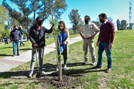 Nueva jornada del Plan de Arbolado Urbano en la Plaza de la Estación de Ing. Maschwitz