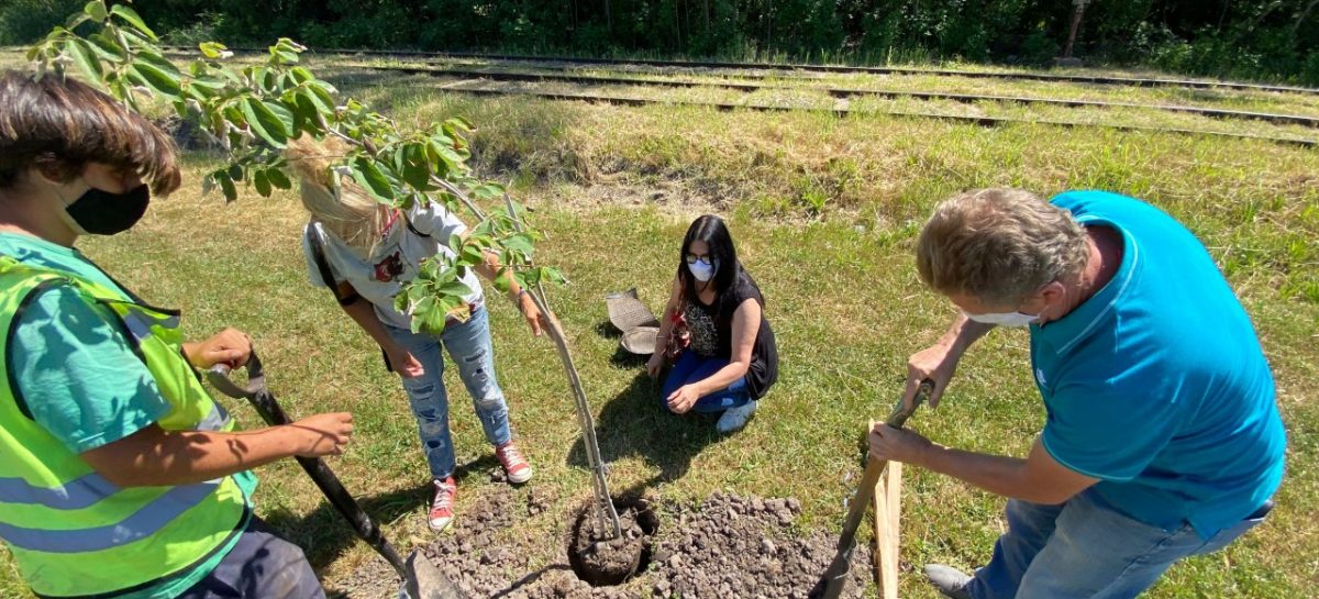 Escobar Sostenible: comenzó la semana “Plantando Conciencia” en las seis localidades