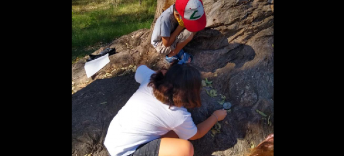 El Municipio organizó el primer encuentro de mini protectores ambientales en la Reserva Natural Educativa