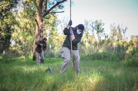 La Municipalidad realizó una plantación de árboles nativos en la Reserva Natural Educativa en Ingeniero Maschwitz