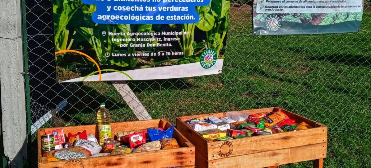 Vecinos del distrito pueden participar para fortalecer el programa Escobar Hambre Cero desde la huerta agroecológica