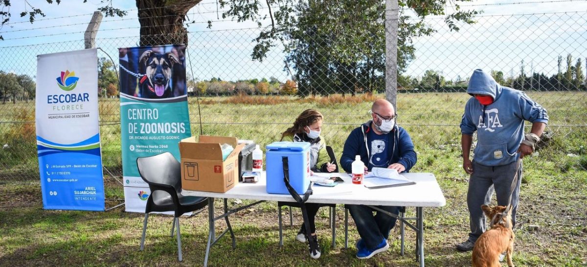 Esta semana comienza la campaña anual de vacunación antirrábica para mascotas