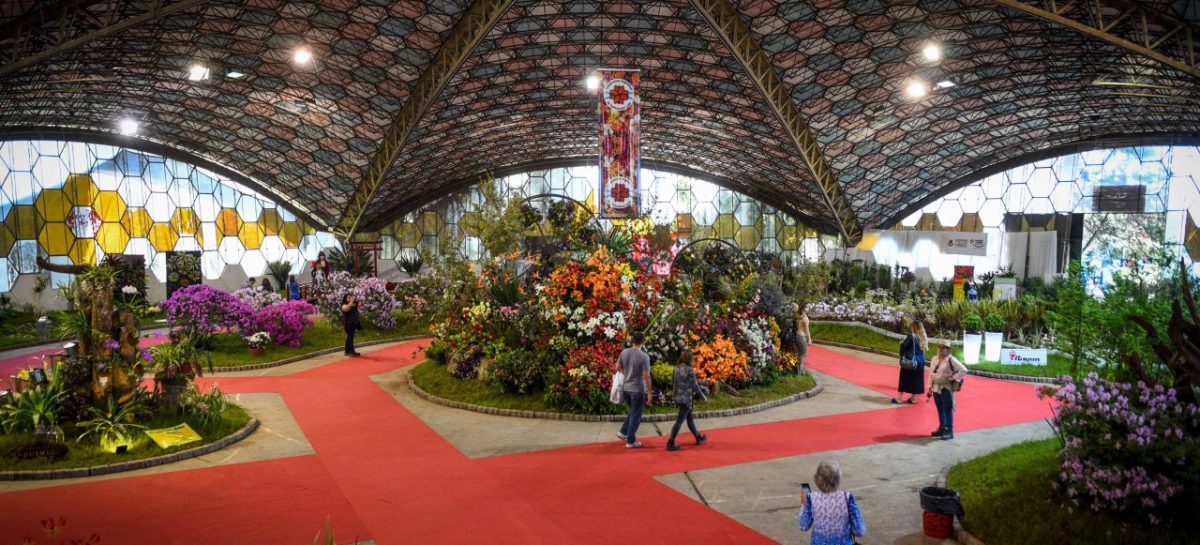 Últimos días para inscribirse como aspirante a embajador y embajadora Nacional de la Flor