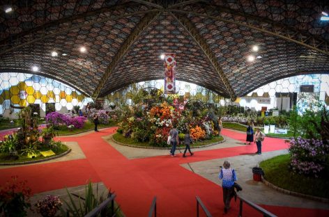 Últimos días para inscribirse como aspirante a embajador y embajadora Nacional de la Flor