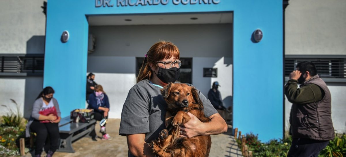 El Hospital Municipal de Zoonosis vacunó a más de 30 mil mascotas y realizó 8.500 castraciones en 2021