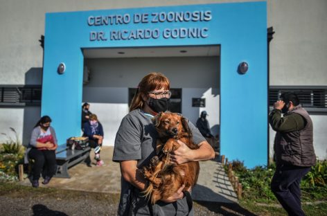 El Hospital Municipal de Zoonosis vacunó a más de 30 mil mascotas y realizó 8.500 castraciones en 2021