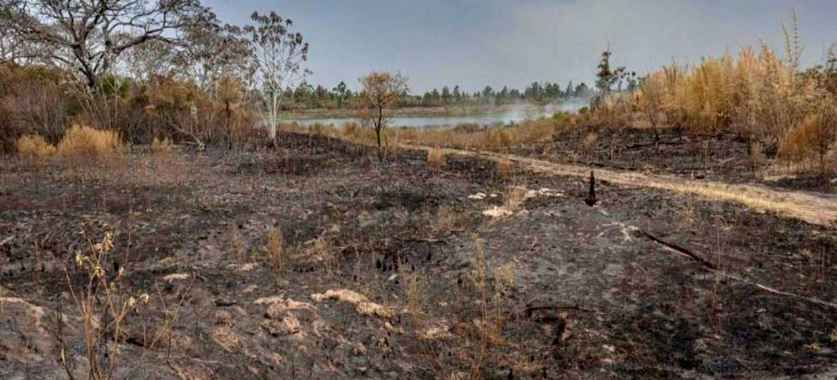 Incendios en Corrientes: se replicará un programa de Escobar Sostenible para la restauración de los Esteros del Iberá