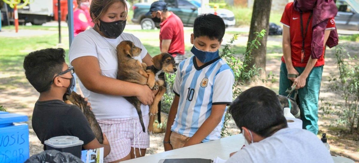 Se inicia en Escobar la campaña anual de vacunación antirrábica para mascotas