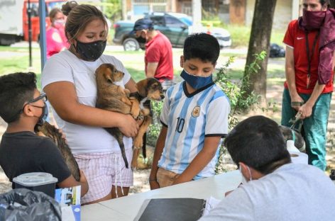 Se inicia en Escobar la campaña anual de vacunación antirrábica para mascotas