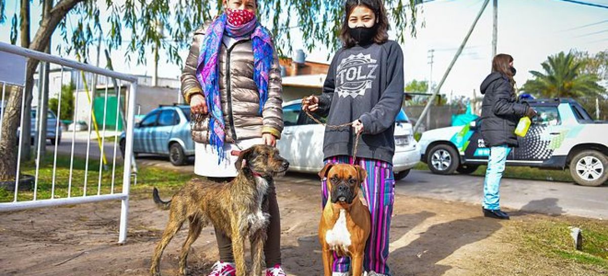 Zoonosis: continúa la campaña de vacunación antirrábica para mascotas del distrito