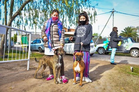 Zoonosis: continúa la campaña de vacunación antirrábica para mascotas del distrito