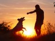 Escomascoteros: se realizará la segunda edición del festival para concientizar sobre la importancia de la adopción y la tenencia responsable de mascotas