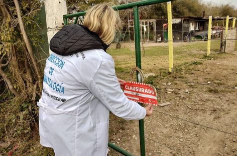 La Municipalidad de Escobar clausuró un criadero de cerdos clandestino