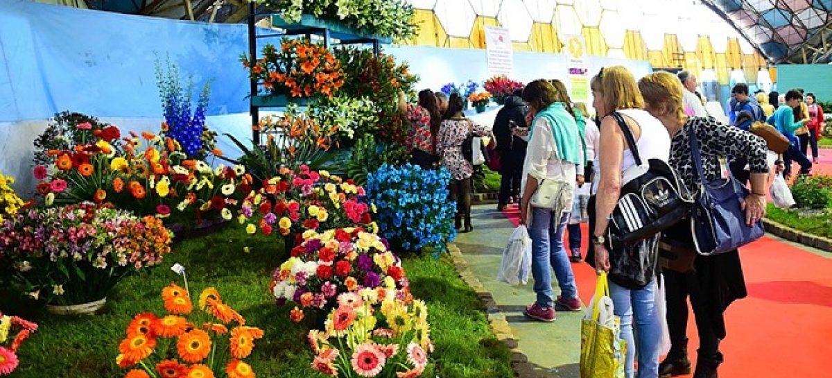 La 59ª Fiesta Nacional de la Flor comenzará el 30 de septiembre