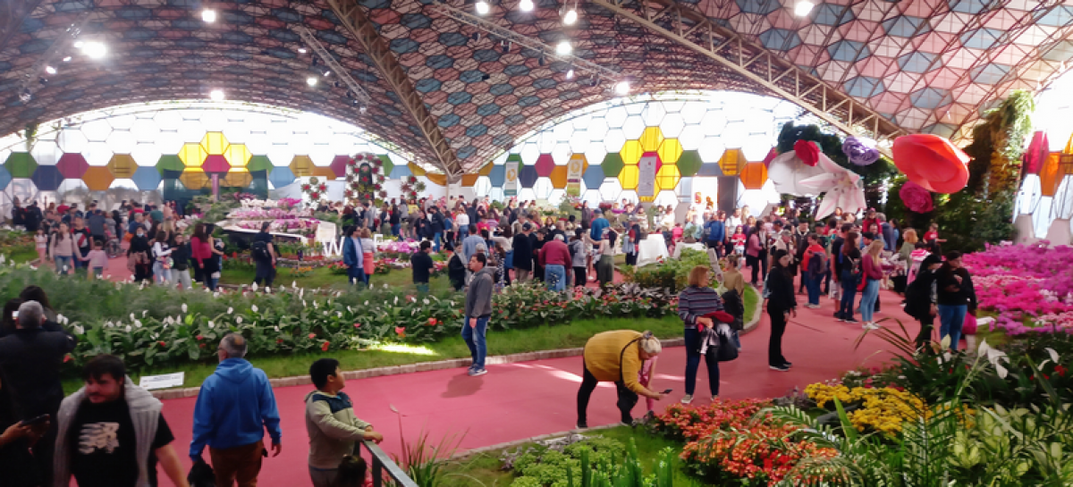 Fiesta Nacional de la Flor: La 59ª edición tuvo un récord de visitantes