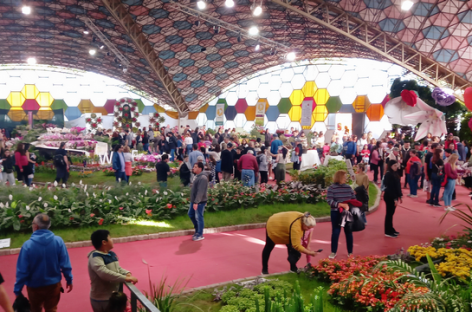 Fiesta Nacional de la Flor: La 59ª edición tuvo un récord de visitantes