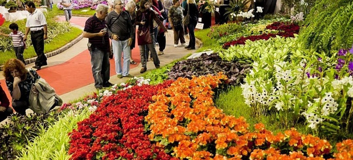 La Fiesta Nacional de la Flor, el desfile de carrozas y los festejos por el aniversario del distrito son algunas de las propuestas culturales del fin de semana en Escobar