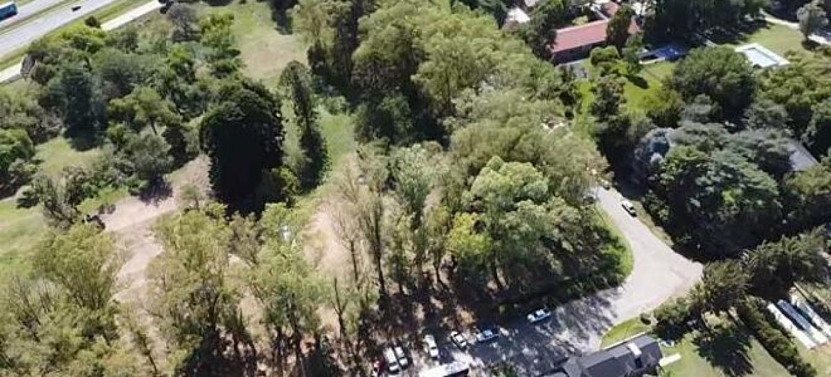 Loma Verde: el Municipio relevó la cantidad de árboles para su preservación y multiplicación en el predio donde se proyecta la construcción de viviendas