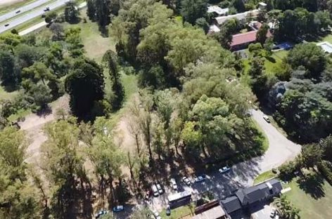 Loma Verde: el Municipio relevó la cantidad de árboles para su preservación y multiplicación en el predio donde se proyecta la construcción de viviendas