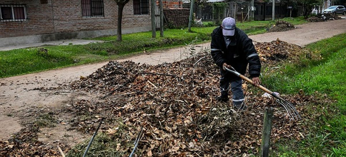 Continúa la campaña de recolección de residuos de poda con vecinos y vecinas del distrito