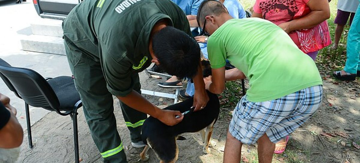 Zoonosis Escobar: continúan las jornadas gratuitas de vacunación y castración en las distintas localidades