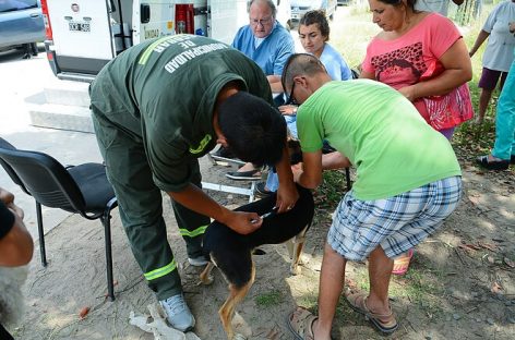 Zoonosis Escobar: continúan las jornadas gratuitas de vacunación y castración en las distintas localidades