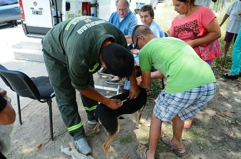 Zoonosis Escobar: continúan las jornadas gratuitas de vacunación y castración en las distintas localidades