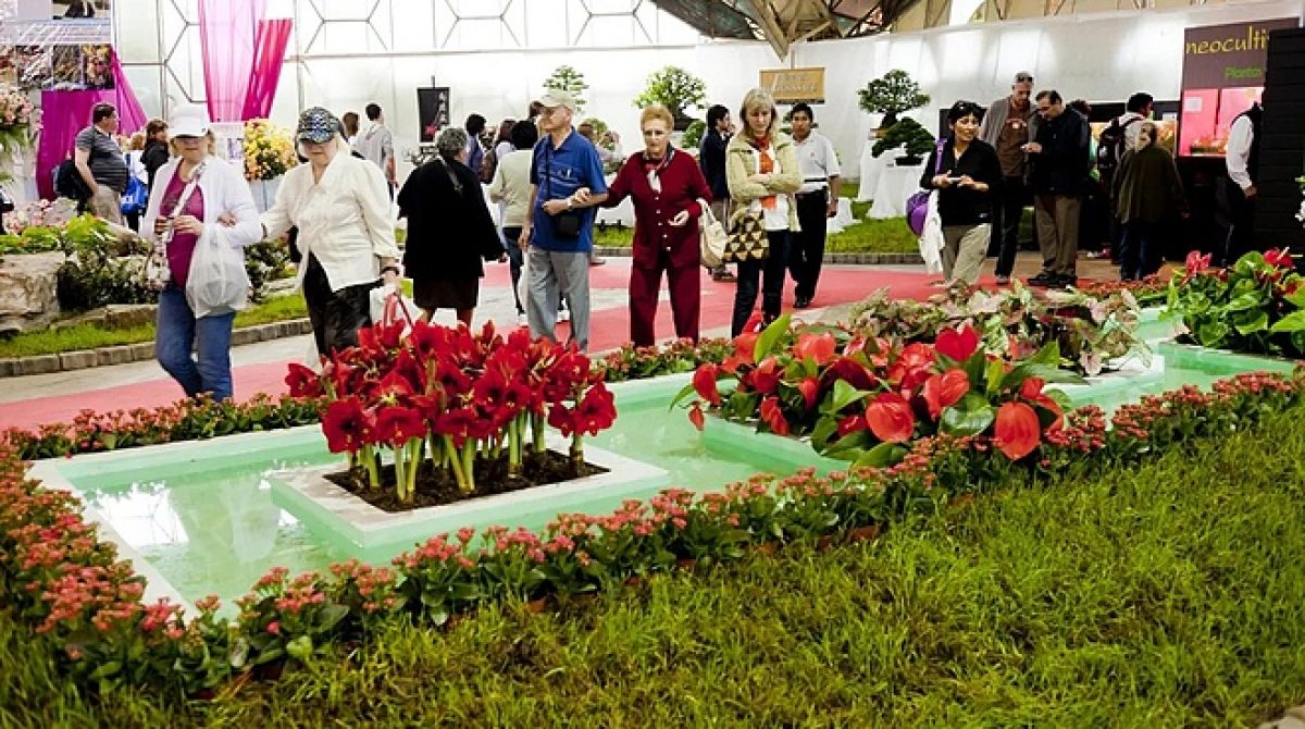 Finde en Escobar: la Fiesta Nacional de la Flor con los shows de Ke Personajes, María Becerra y Raly Barrionuevo es la máxima atracción