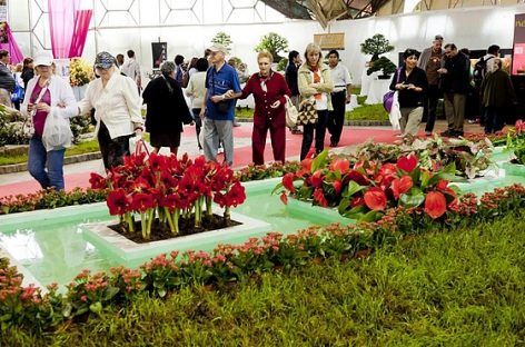 Finde en Escobar: la Fiesta Nacional de la Flor con los shows de Ke Personajes, María Becerra y Raly Barrionuevo es la máxima atracción